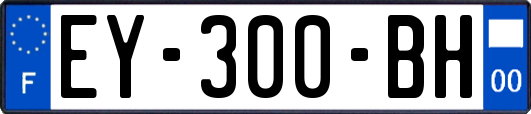 EY-300-BH