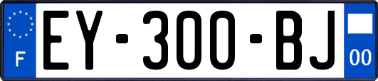 EY-300-BJ