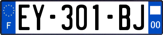 EY-301-BJ