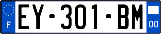 EY-301-BM