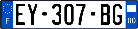 EY-307-BG