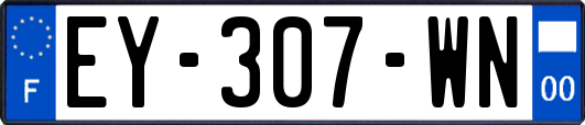EY-307-WN
