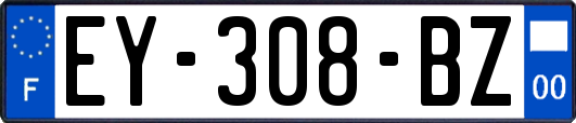 EY-308-BZ