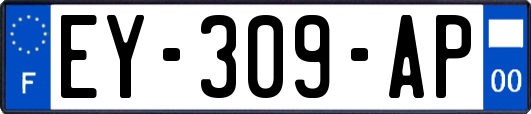 EY-309-AP