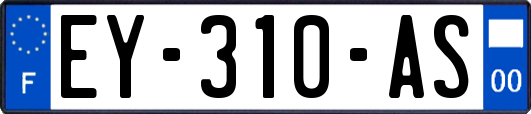 EY-310-AS