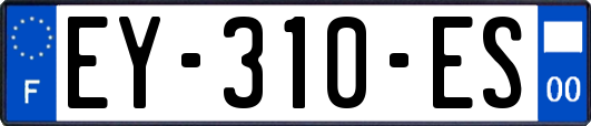 EY-310-ES