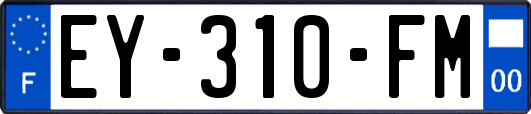 EY-310-FM