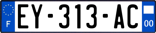 EY-313-AC