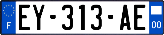 EY-313-AE