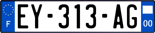 EY-313-AG