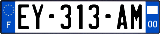 EY-313-AM