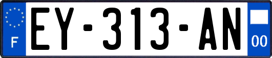 EY-313-AN
