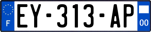 EY-313-AP