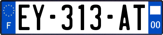 EY-313-AT