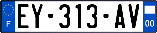 EY-313-AV