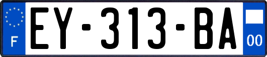 EY-313-BA