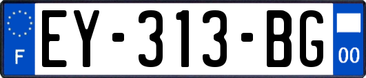 EY-313-BG