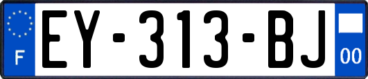 EY-313-BJ