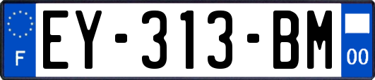 EY-313-BM