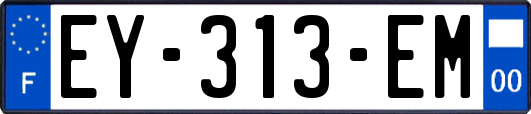 EY-313-EM