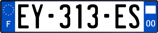 EY-313-ES