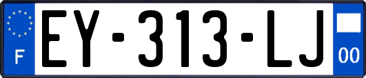 EY-313-LJ