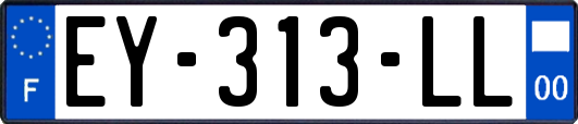 EY-313-LL