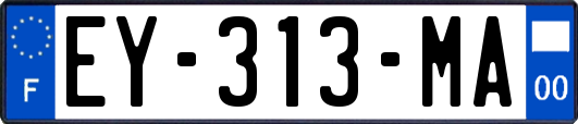 EY-313-MA