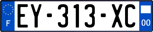 EY-313-XC