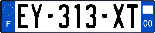 EY-313-XT