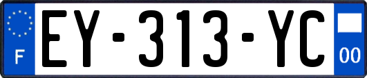 EY-313-YC