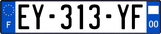 EY-313-YF