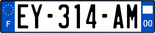 EY-314-AM