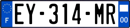 EY-314-MR