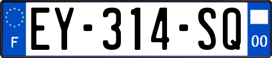 EY-314-SQ