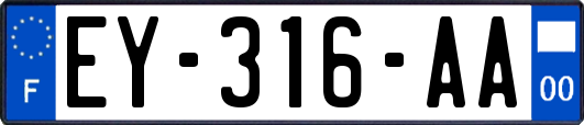 EY-316-AA