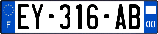 EY-316-AB