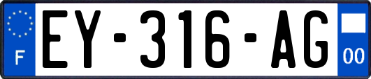 EY-316-AG