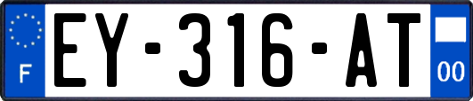 EY-316-AT