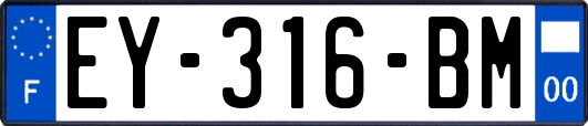 EY-316-BM