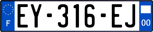 EY-316-EJ