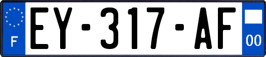 EY-317-AF