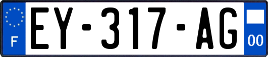 EY-317-AG