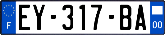 EY-317-BA