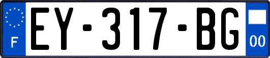 EY-317-BG