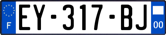 EY-317-BJ