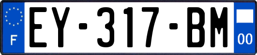 EY-317-BM