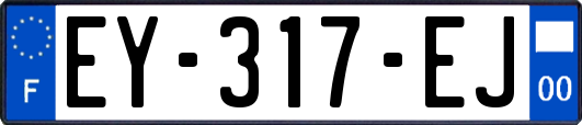 EY-317-EJ