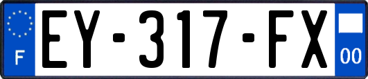 EY-317-FX