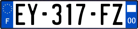 EY-317-FZ